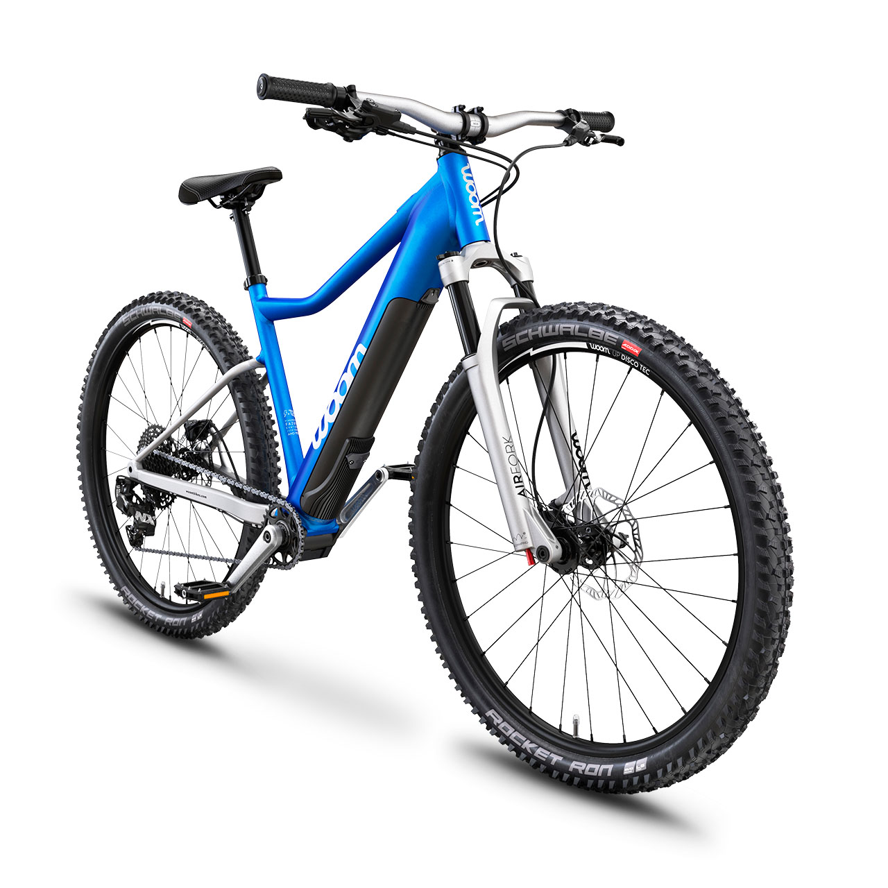 pedelec mountain bike